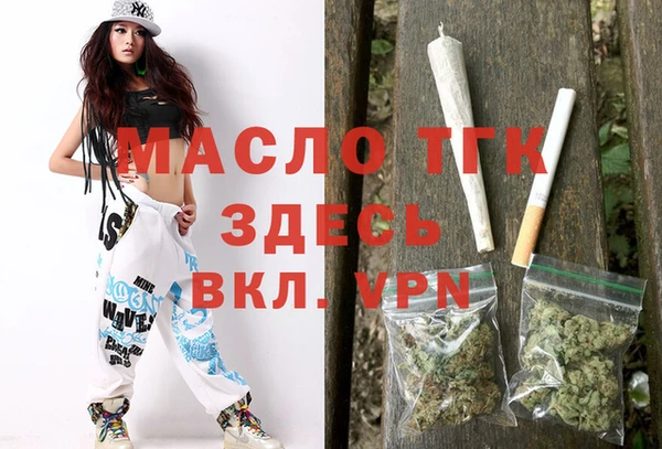 мет Инта
