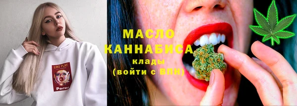 мет Инта