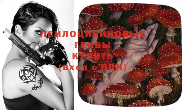 мет Инта
