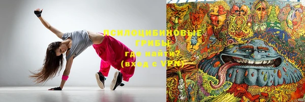 мет Инта