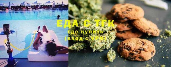 мет Инта