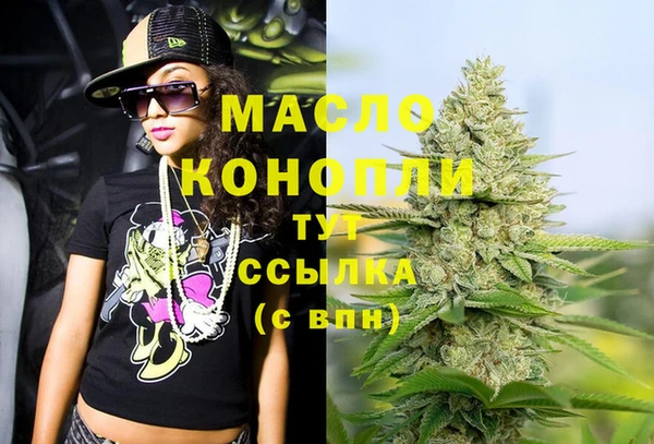 мет Инта