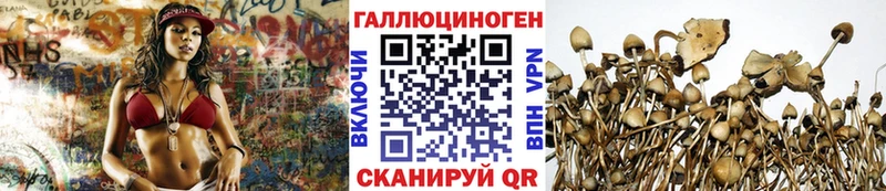 Псилоцибиновые грибы GOLDEN TEACHER  Купить закладки  Лагань 